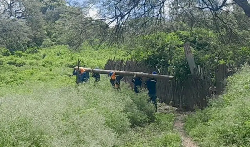 Trabajadores caminan con poste por lugar agreste. Foto: Enosa
