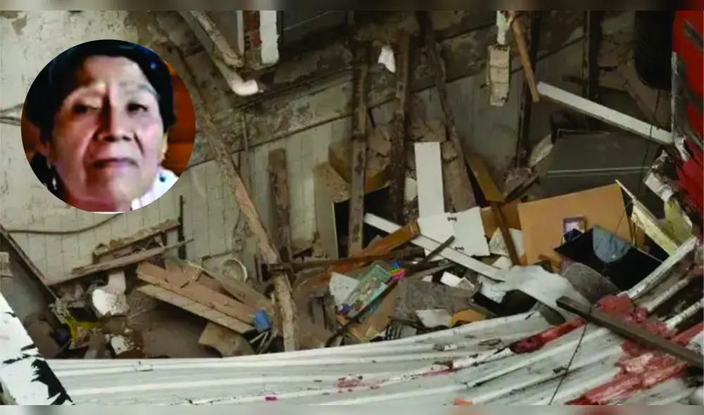 Un perro rescatista encontró a la mujer desaparecida. Foto: composición LR/difusión