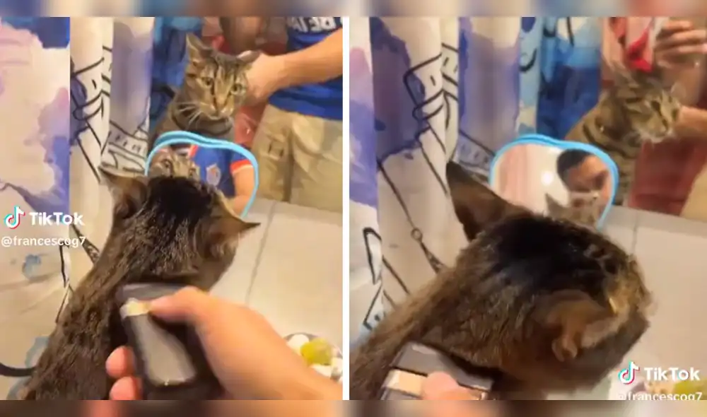 La escena se viralizó a través de Twitter. Foto: composición LR/Twitter La escena se viralizó a través de Twitter. Foto: composición LR/Twitter