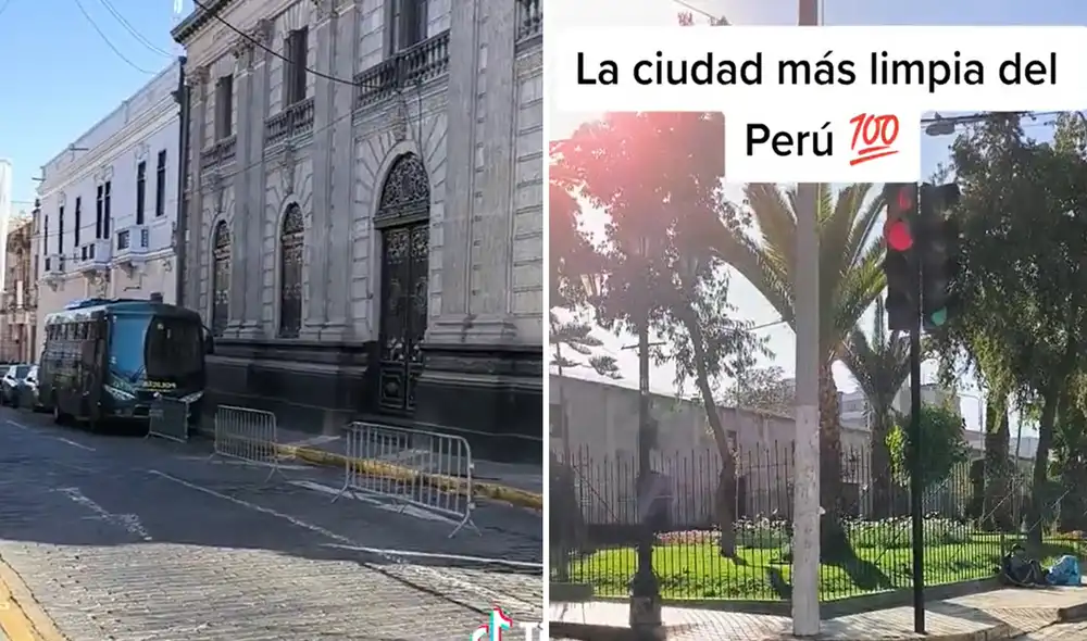 Clip tiene 172.000 visualizaciones en TikTok. Foto: composición LR/ Yesenia Nery- TikTok