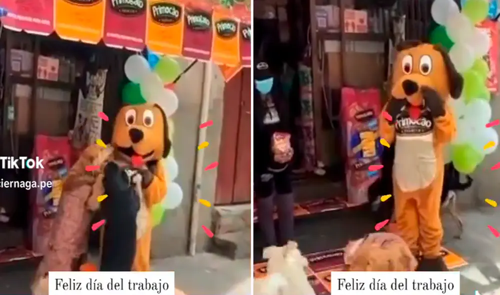 Los perros 'imaginaron' que se trataba de su hermano mayor. Foto: composición de LR/TikTok/@Luciernaga.pe