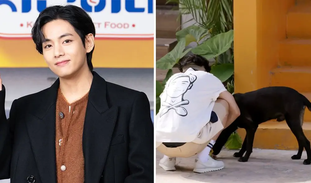 Taehyung de BTS filmó reality coreano en México a fines del 2022. Foto: tvN