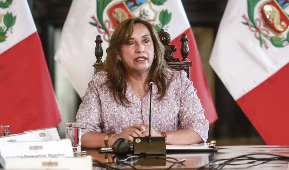 Informe de la CIDH responsabiliza al Gobierno de Dina Boluarte de graves violaciones de los derechos humanos en protestas. Foto: Presidencia