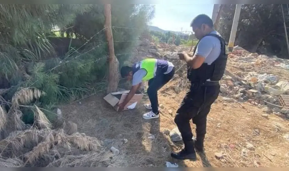 Autoridades auxiliaron a la neonata. Foto: RT Noticias