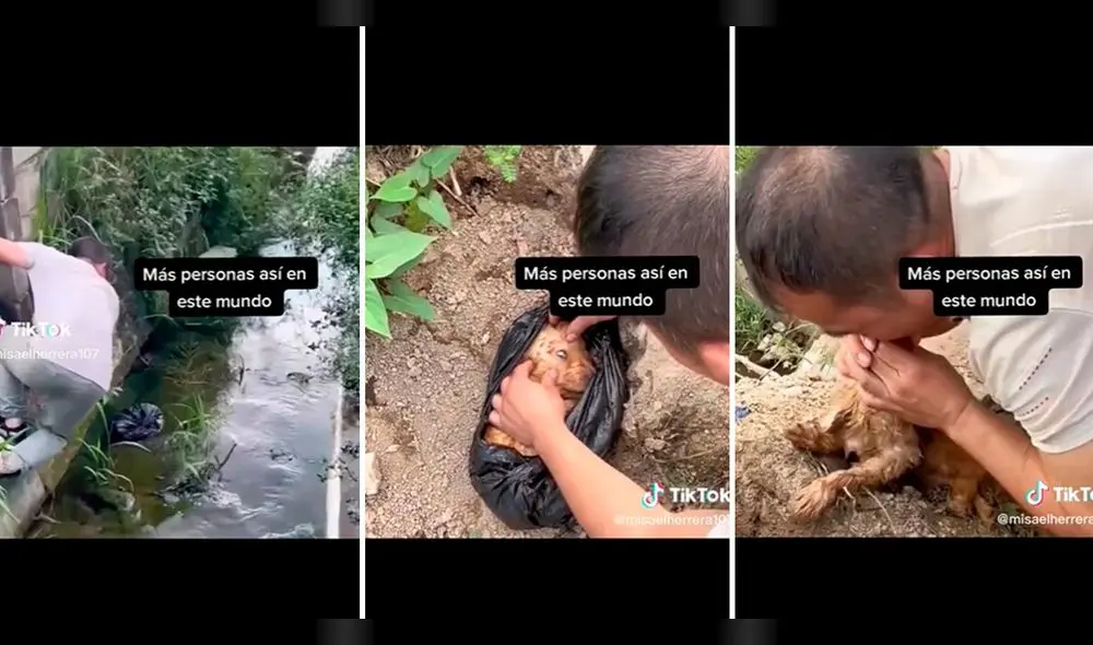 Usuarios elogiaron el acto que hizo el hombre. Foto: composición LR/ TikTok/ @ElMichi Usuarios elogiaron el acto que hizo el hombre. Foto: composición LR/ TikTok/ @ElMichi