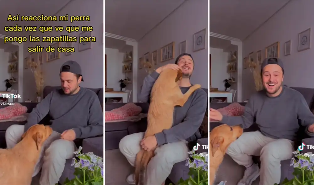 Ante tanta insistencia, ambos salieron juntos de casa. Foto: composición LR/captura de TikTok/@Javi.Escu Ante tanta insistencia, ambos salieron juntos de casa. Foto: composición LR/captura de TikTok/@Javi.Escu