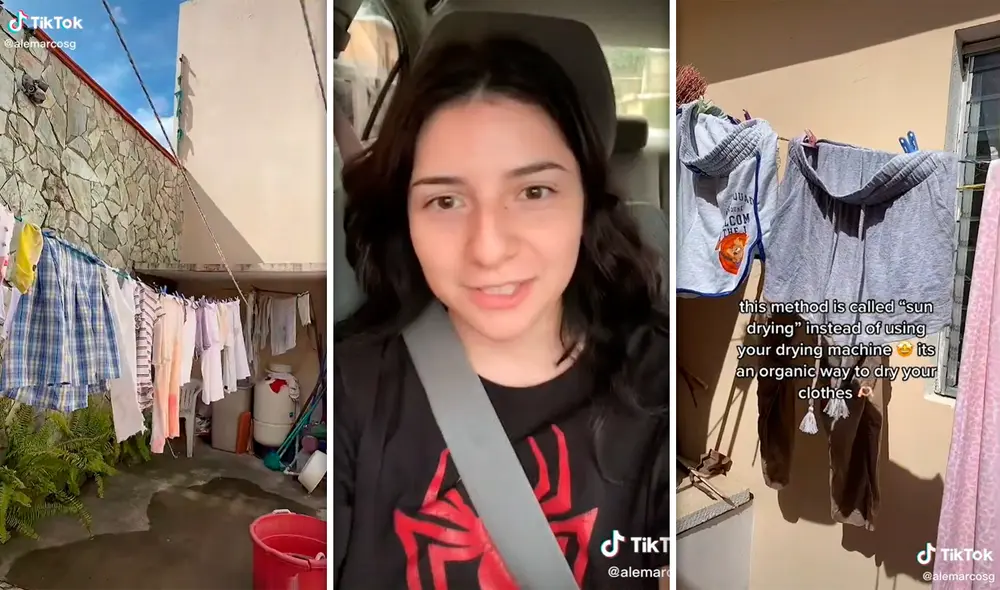 El singular video llamó la atención de miles de usuarios en TikTok. Foto: composición LR/captura de TikTok/@Alemarcosg