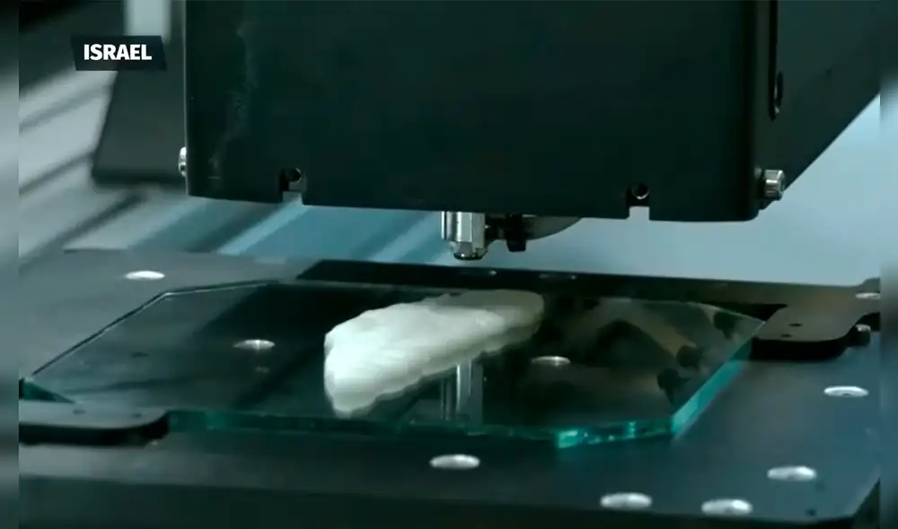 Una empresa israelí logró crear el primer filete de pescado en una impresora 3D.  Foto: captura/Milenio