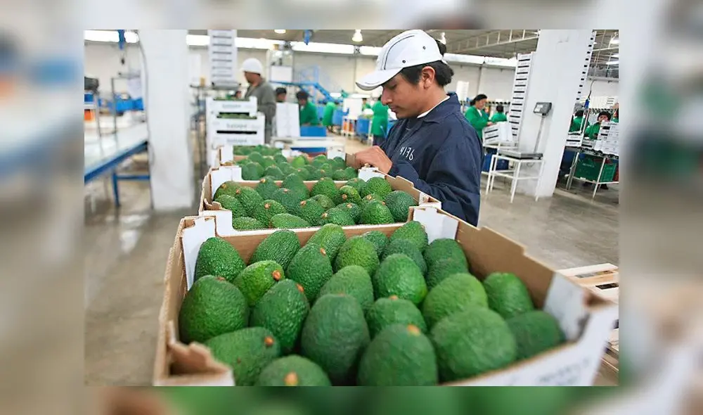 El PAI es un programa creado por el Mincetur para cofinanciar actividades orientadas a fortalecer, promover y acelerar el proceso de internacionalización de mipymes exportadoras. Foto: Andina El PAI es un programa creado por el Mincetur para cofinanciar actividades orientadas a fortalecer, promover y acelerar el proceso de internacionalización de mipymes exportadoras. Foto: Andina
