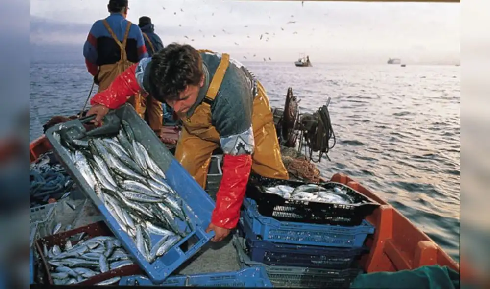 Norma que aún no ha sido promulgada prioriza la pesca artesanal y ancestral en las 5 primeras millas del litoral. Foto: Andina