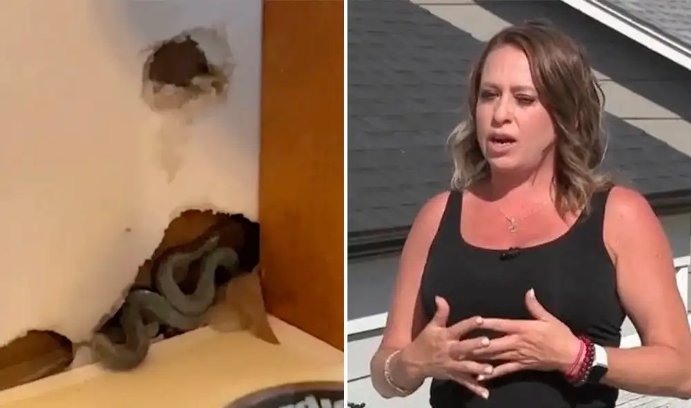 “No puedo desempacar ninguna de mis cosas porque definitivamente tengo miedo", expresó la mujer. Foto: composición LR / Daily Star. Video: Daily Star