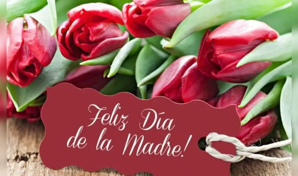 El próximo 14 de mayo se celebra el Día de la Madre en Perú. Foto: RedGlo
