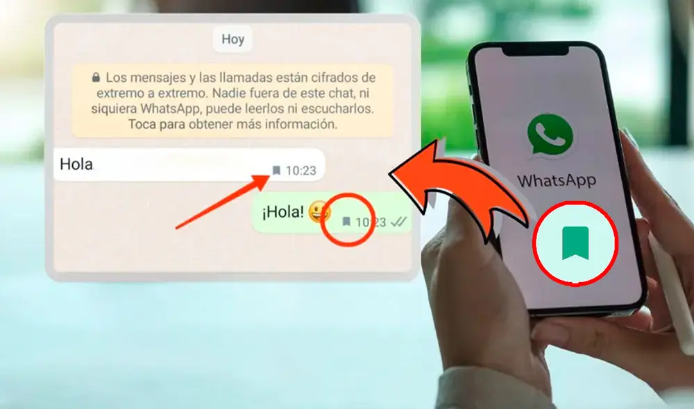 La función está disponible para todos los usuarios de WhatsApp. Foto: Enséñame de Ciencia