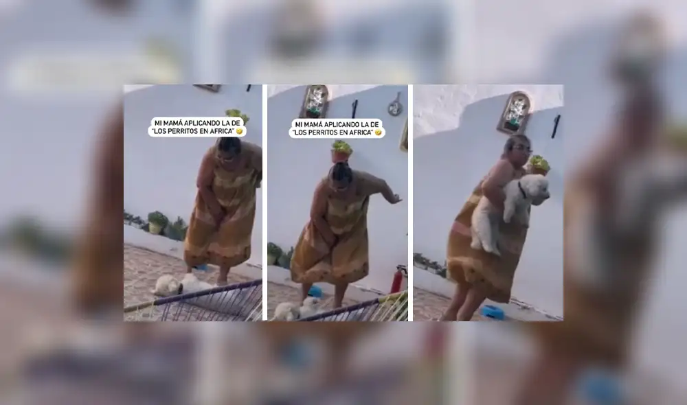 El video cuenta con más de 2,7 millones de reproducciones. Foto: composición LR/Intagram/@4petscoyoacan