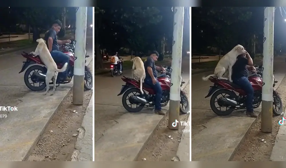 Perrito tiene tierna reacción con su amo. Foto: composición LR/ TikTok/ @Lidy079 Perrito tiene tierna reacción con su amo. Foto: composición LR/ TikTok/ @Lidy079