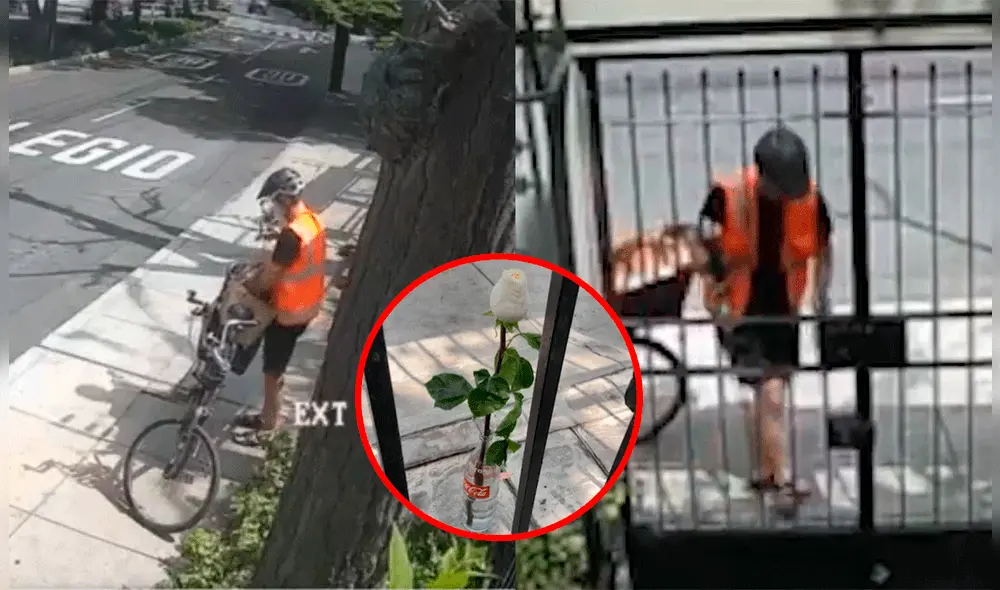 El director del medio periodístico, Gustavo Gorriti, aseguró que los integrantes de esa agrupación realizan actos violentos con total impunidad. Foto: composición LR/capturas de Twitter - Video: Twitter/IDL-Reporteros