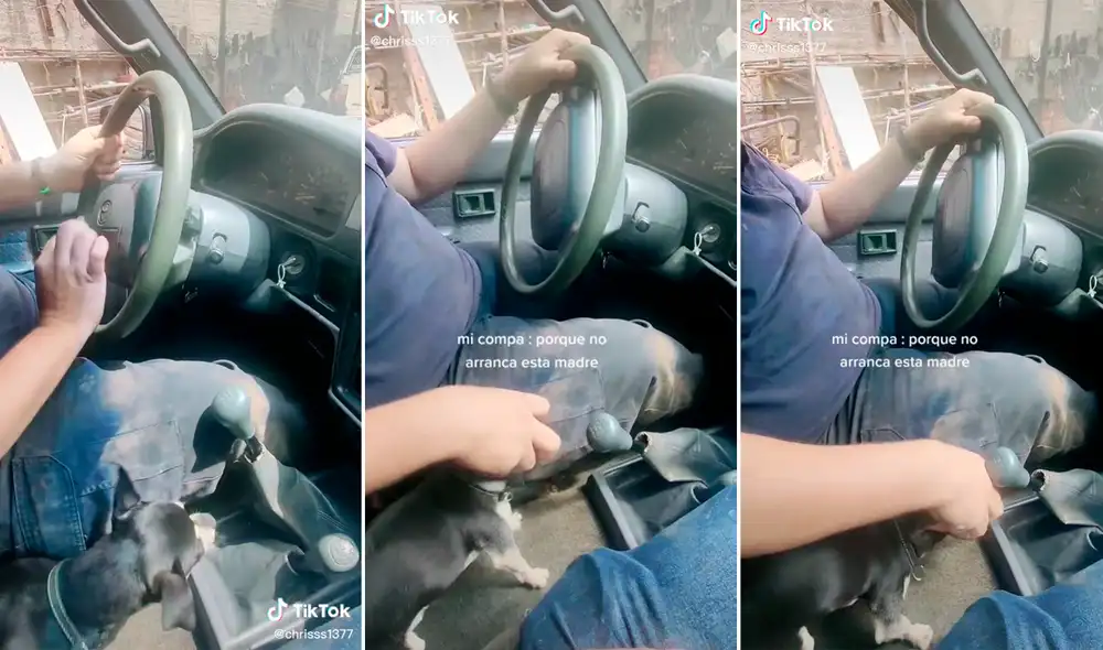 El video sumó más 51 millones de reproducciones en TikTok. Foto: composición LR/TikTok/@Chrisss1377 El video sumó más 51 millones de reproducciones en TikTok. Foto: composición LR/TikTok/@Chrisss1377