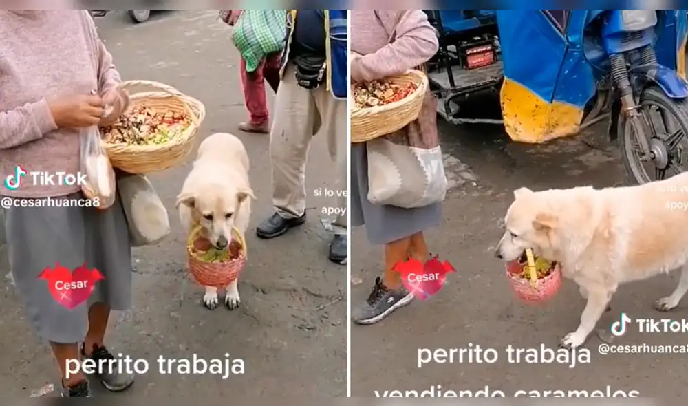 El video superó las 507.100 reproducciones. Foto: composición LOL/captura de TikTok/@CesarHuanca8 El video superó las 507.100 reproducciones. Foto: composición LOL/captura de TikTok/@CesarHuanca8