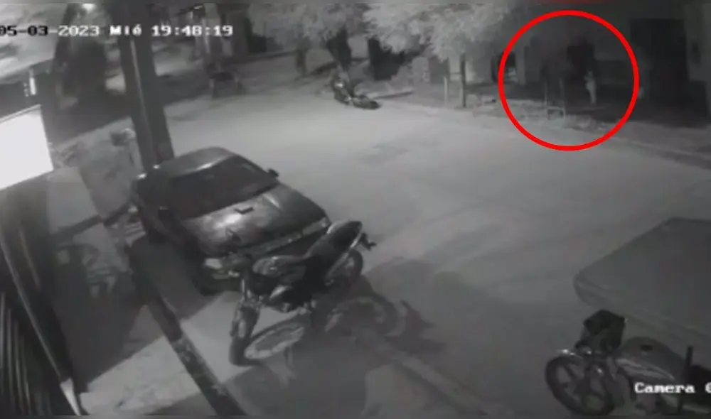 El sujeto, tras robar el equipo telefónico a la niña, huyó de la zona. Foto: captura video/ Diario Ahora - Amazonas Y Jaén - Video: Diario Ahora - Amazonas y Jaén El sujeto, tras robar el equipo telefónico a la niña, huyó de la zona. Foto: captura video/ Diario Ahora - Amazonas Y Jaén - Video: Diario Ahora - Amazonas y Jaén