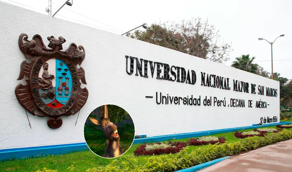 La palabra 'burro' no hace referencia a los animales que se utilizan para el trabajo de campo. Foto: composición de LR/UNMSM/FB