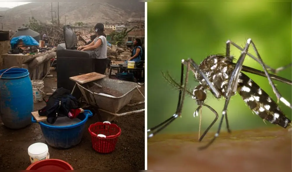 El Minsa indicó que existen más de 69.000 casos de dengue en el Perú. Foto: difusión/composición LR