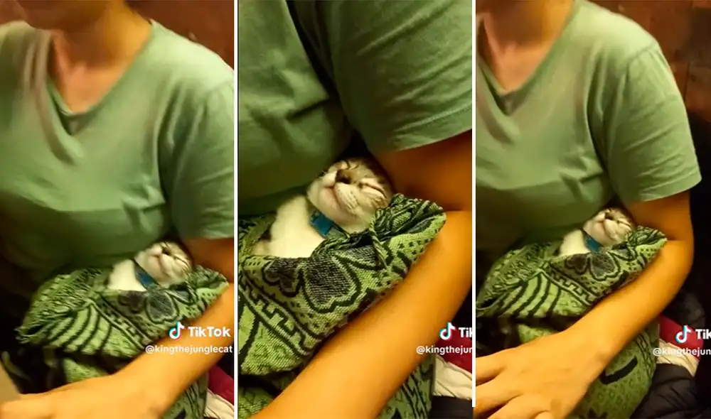 A pesar de la bulla del lugar, el gato dormía plácidamente en los brazos de su dueña. Foto: composición LR/capturas de TikTok/@kingthejunglecat A pesar de la bulla del lugar, el gato dormía plácidamente en los brazos de su dueña. Foto: composición LR/capturas de TikTok/@kingthejunglecat