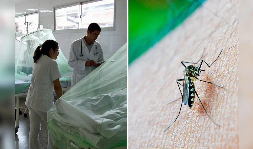 Minsa declaró en emergencia a 20 regiones del Perú por dengue. Foto: composición LR / Andina / Pixabay