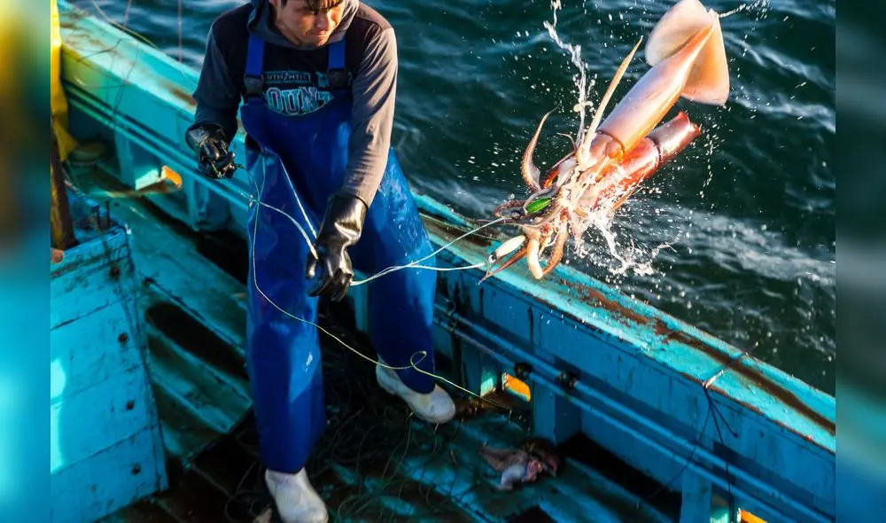 Fuente: Difusión Fuente: Difusión