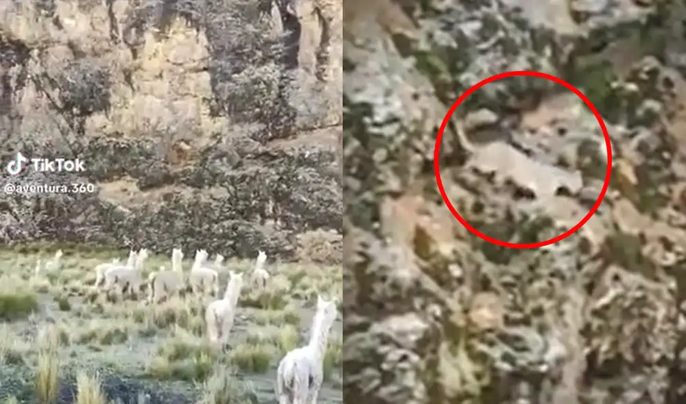 Video cuenta con 414.000 visualizaciones en TikTok. Foto: composición LR/captura de César Cancino/TikTok. VIDEO: Frans/Youtube/Aventura 360/Facebook