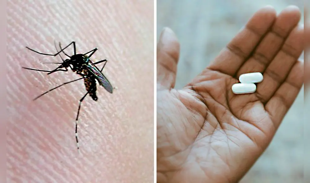 ¿Tienes síntomas de dengue, pero no puedes tomar paracetamol? Un especialista reveló otra opción para tratar los síntomas. Foto: composición LR/Andina/BBC