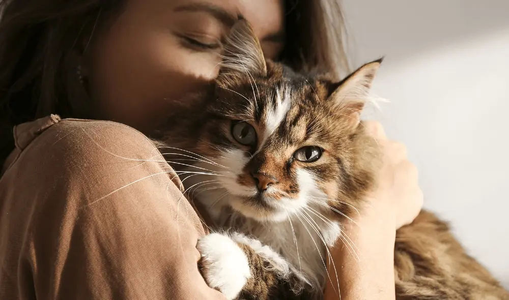 La historia de la mujer abrió polémica en redes sociales por la importancia que le dio a su mascota. Foto: Romántica/Ilustrativa