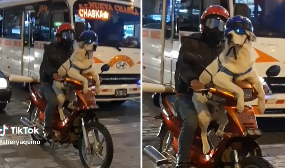 Video tiene 9.100 reacciones en TikTok. Foto: composición LR/captura de TikTok/Shery Aquino Video tiene 9.100 reacciones en TikTok. Foto: composición LR/captura de TikTok/Shery Aquino