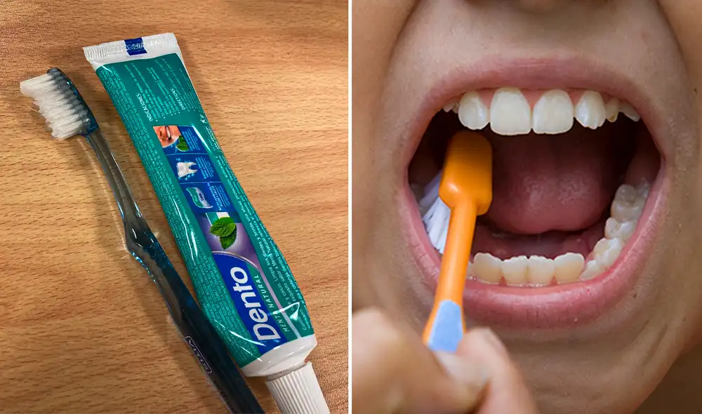 Conoce el tiempo ideal para cambiar tu cepillo de dientes. Foto: composición LR