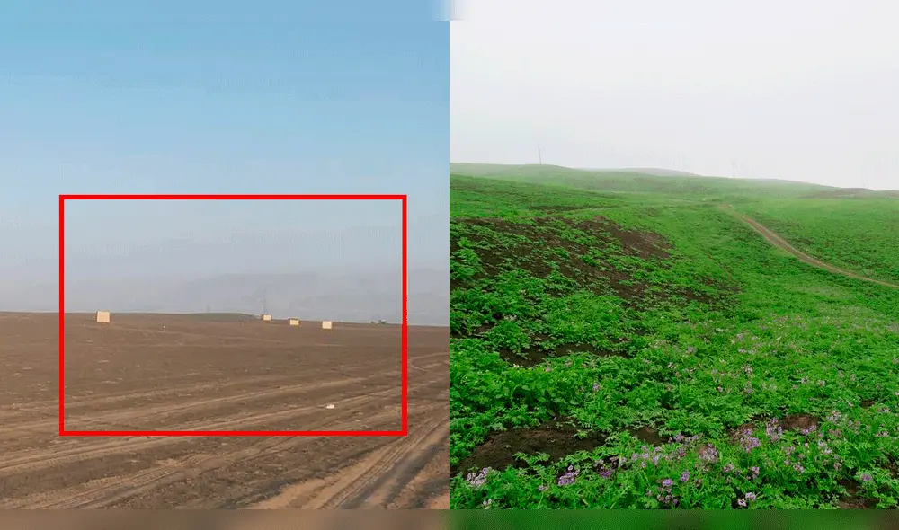 Guardaparques registraron fotos y videos de invasiones en km 55 de Panamericana. Foto: composición LR / cortesía / Desert Expeditions