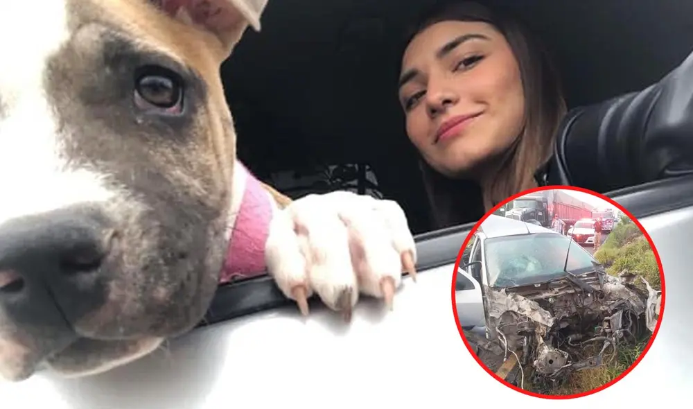 Alma Adriana Alonso perdió la vida en un accidente automovilístico, Foto: Delia Ocañas Cantu/Facebook/El Mañana Alma Adriana Alonso perdió la vida en un accidente automovilístico, Foto: Delia Ocañas Cantu/Facebook/El Mañana