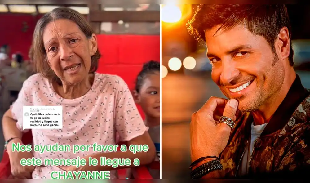 El video superó las 1,3 millones de reproducciones. Foto: composición LR/captura/@Stitchsh/TikTok