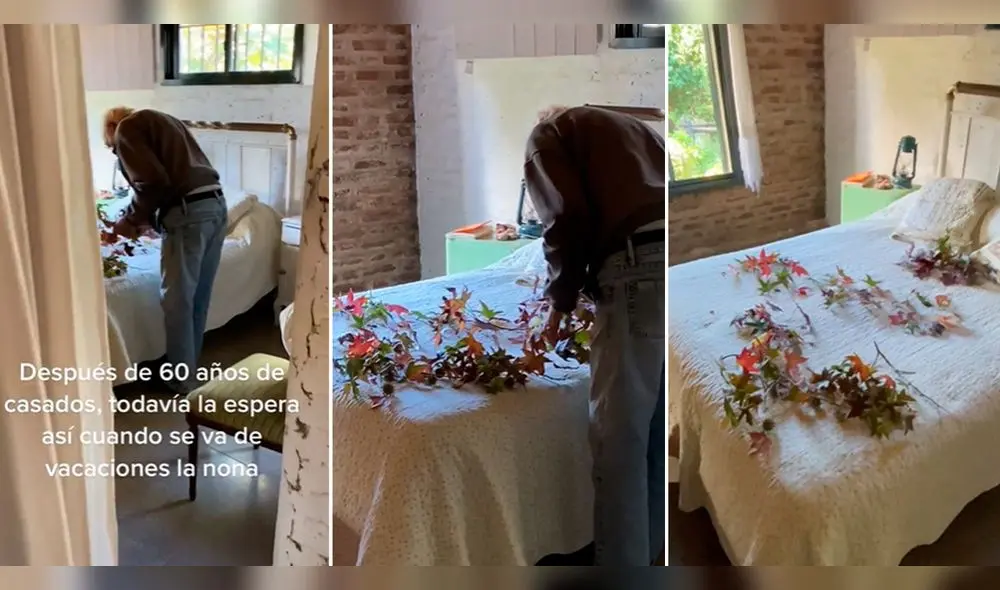 Usuarios se enternecen con el hermoso gesto del anciano. Foto: composición LR/TikTok/@ToledoFrancoG Usuarios se enternecen con el hermoso gesto del anciano. Foto: composición LR/TikTok/@ToledoFrancoG