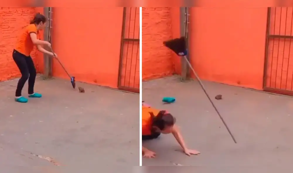 Usuarios comentaron que también les tienen miedo a las ranas. Foto: composición LR/@jota_eme23/TikTok Usuarios comentaron que también les tienen miedo a las ranas. Foto: composición LR/@jota_eme23/TikTok