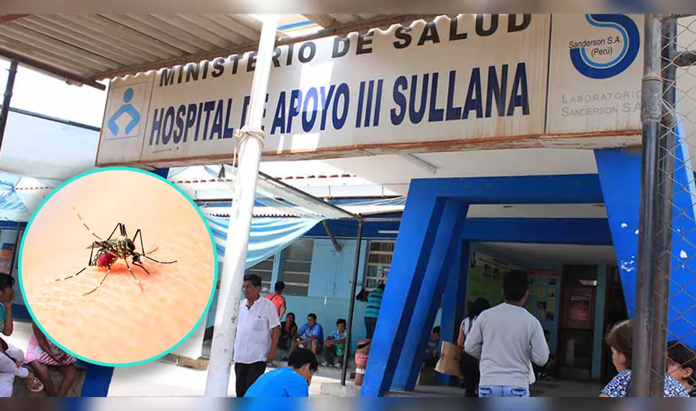 Piura es la región con más casos de dengue. Foto: La República Piura es la región con más casos de dengue. Foto: La República