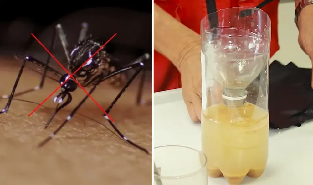 Prevenir la ploriferación del dengue se puede lograr con la creación de trampas caseras. Foto: composición LR/Flickr/ YouTube ElMundoSV