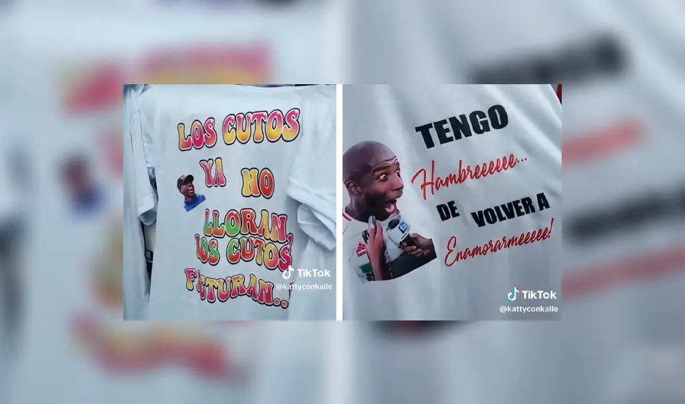 El video cuenta con más de 180.000 reproducciones. Foto: composición LR/@kattyvillalobos/TikTok El video cuenta con más de 180.000 reproducciones. Foto: composición LR/@kattyvillalobos/TikTok