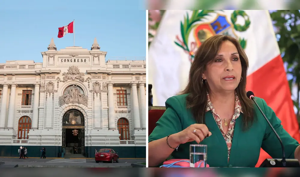 La Organización de las Naciones Unidas afirma que el embrión no puede ser considerado dentro de la categoría de "niñez". Foto: composición LR / Andina / Andina