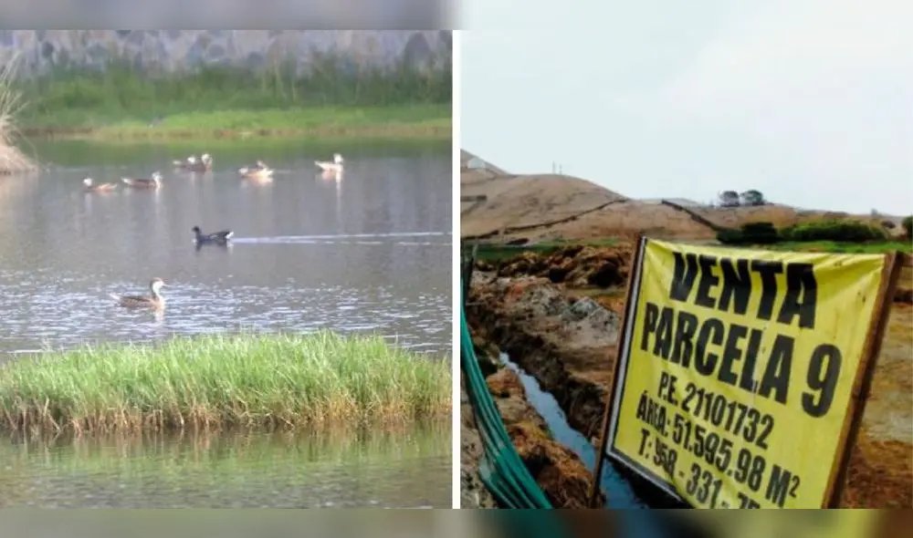 Los proyectos urbanísticos ponen en riesgo las zonas urbanas del distrito, señala Mary Ann. Foto: Facebook/SPDA Actualidad Ambiental/composición LR