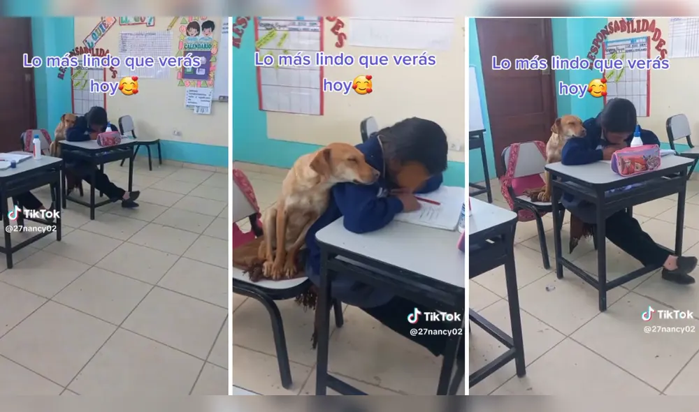Usuarios quedaron conmovidos tras ver el hecho. Foto: composición LR/TikTok/@nancy123 Usuarios quedaron conmovidos tras ver el hecho. Foto: composición LR/TikTok/@nancy123