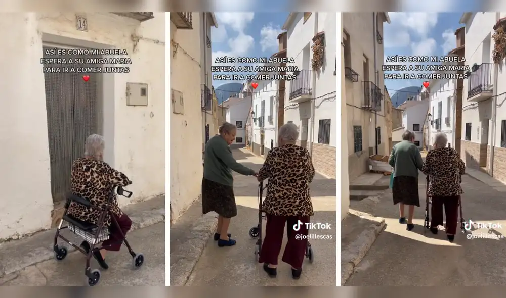 Usuarios mencionaron que les gustaría tener una amistad como el de ellas. Foto: composición LR/ TikTok/@joelillescas