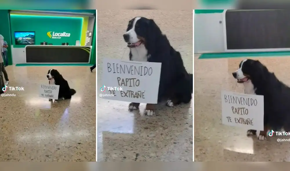 Conmovió a miles en el aeropuerto y en internet. Foto: composición LR/capturas de TikTok/@JanhDu Conmovió a miles en el aeropuerto y en internet. Foto: composición LR/capturas de TikTok/@JanhDu