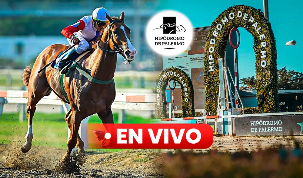 ¡No te pierdas de ninguna carrera! Revisa el programa y todos los resultados del Hipódromo de Palermo EN VIVO GRATIS por La República Deportes. Foto: composición LR/Hipódromo de Palermo ¡No te pierdas de ninguna carrera! Revisa el programa y todos los resultados del Hipódromo de Palermo EN VIVO GRATIS por La República Deportes. Foto: composición LR/Hipódromo de Palermo