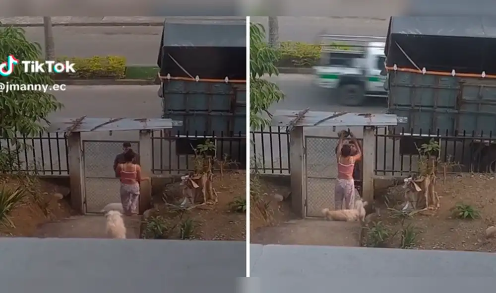 El video del singular episodio sumó miles de reproducciones en TikTok. Foto: composición LR/TikTok/@Jmanny.ec