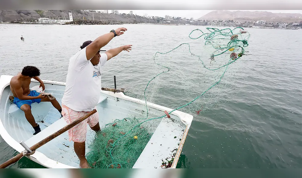 Diálogo. Artesanales, mediana escala e industriales deben ser parte de una discusión transparente en aras de conservar los recursos del mar peruano. Foto: Félix Contreras/La República