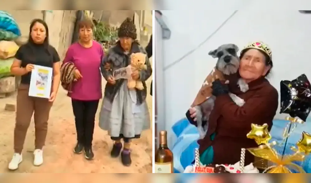 La mascota se extravió durante las celebraciones del Día de la Madre, el domingo 14 de mayo. Foto: composición LR / ATV La mascota se extravió durante las celebraciones del Día de la Madre, el domingo 14 de mayo. Foto: composición LR / ATV